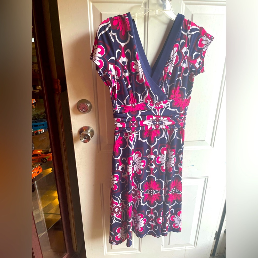 Sandra Darren Dress 12